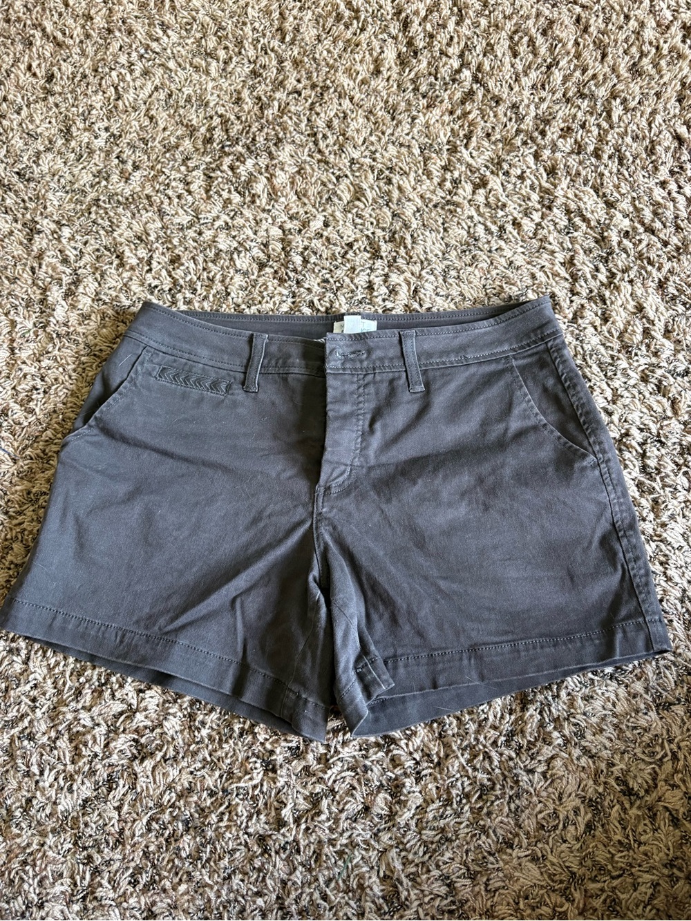 Market & Spruce Women's Dark Charcoal Casual Shorts